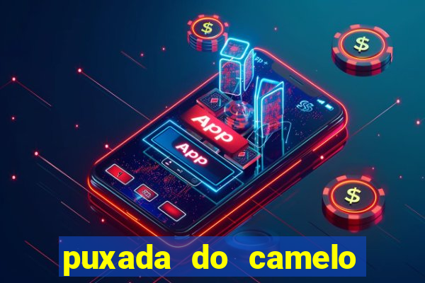 puxada do camelo no jogo do bicho